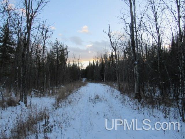Tbd Tbd Tower Perkins, MI 49872 - Photo 9 of 22