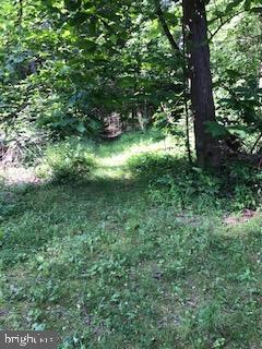 Kline Road Brogue, PA 17309 - Photo 11 of 22 Gallery Image 11