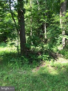 Kline Road Brogue, PA 17309 - Photo 12 of 22 Gallery Image 12