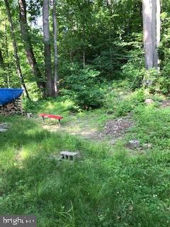 Kline Road Brogue, PA 17309 - Photo 19 of 22 Gallery Image 19