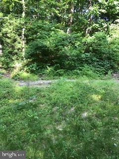 Kline Road Brogue, PA 17309 - Photo 20 of 22 Gallery Image 20