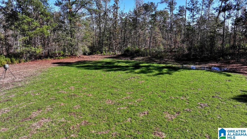 200 Kelly Creek Road Odenville, AL 35120 - Photo 34 of 47