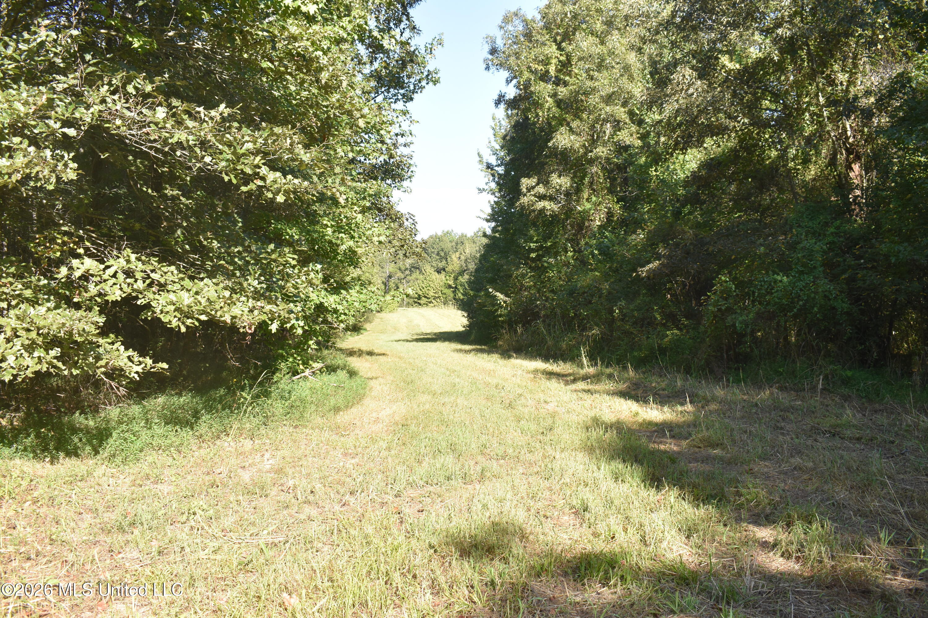 390 Old Panola Road Como, MS 38619 - Photo 22 of 71 DSC_0171