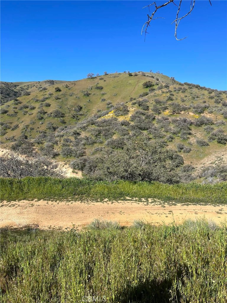 0 Lebec Road Lebec, CA 93243 - Photo 5 of 65