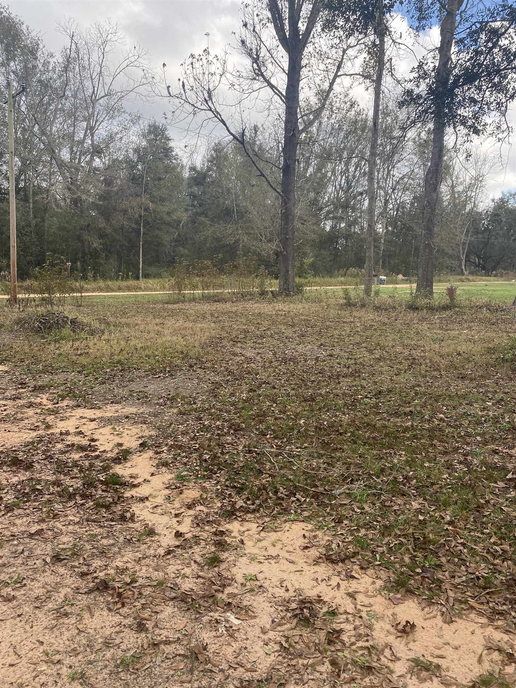 15439 Nance Road Foley, AL 36535 - Photo 6 of 9