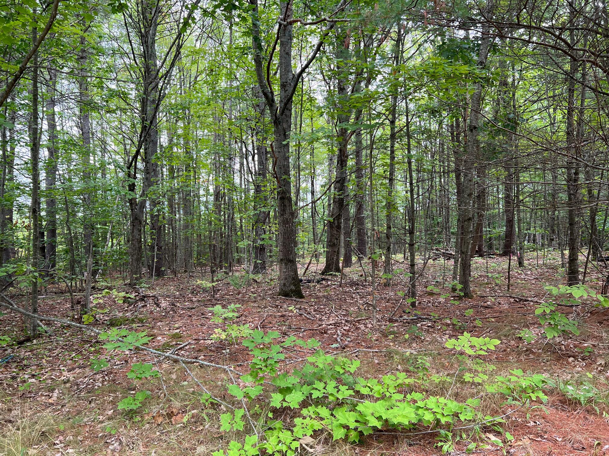 Tbd Church Hill Road Augusta, ME 04330 - Photo 6 of 13 image1