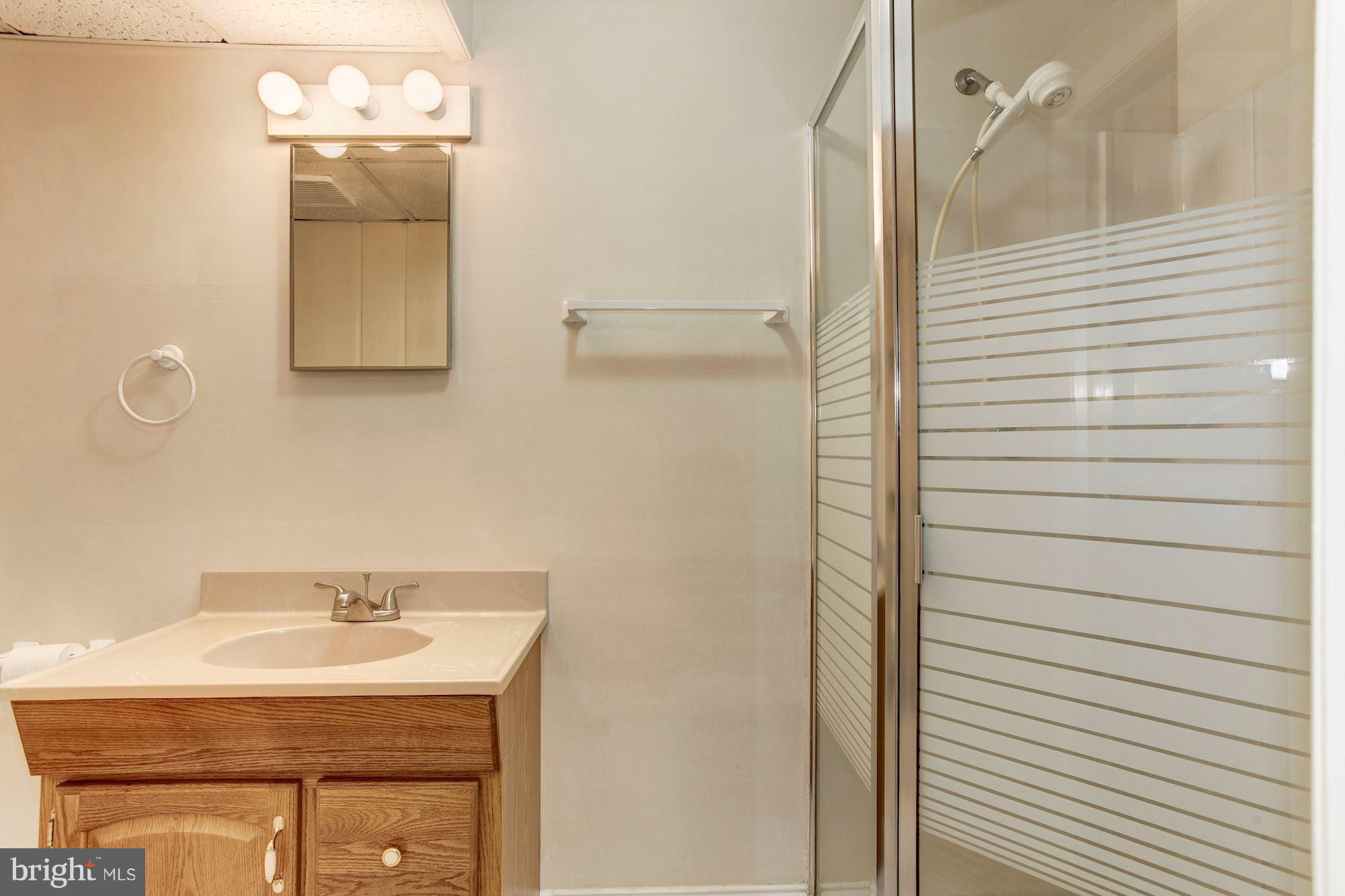 5701 Norton Road Alexandria, VA 22303 - Photo 27 of 30 Bath