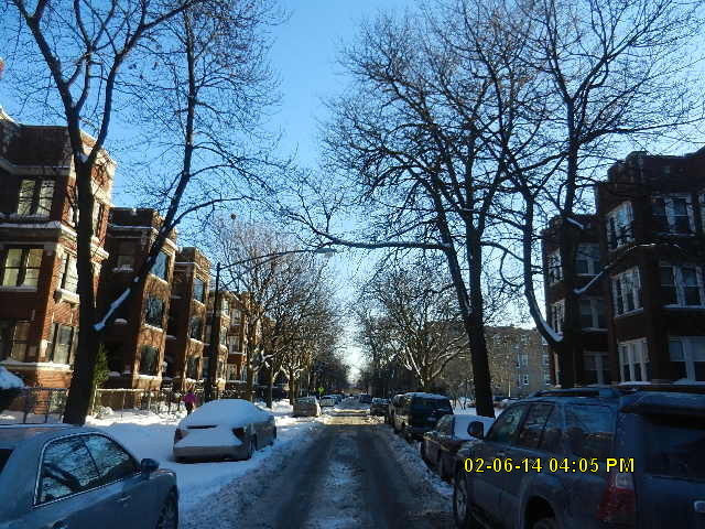 6720 South Ridgeland Avenue, Unit 3N Chicago, IL 60649 - Photo 3 of 3