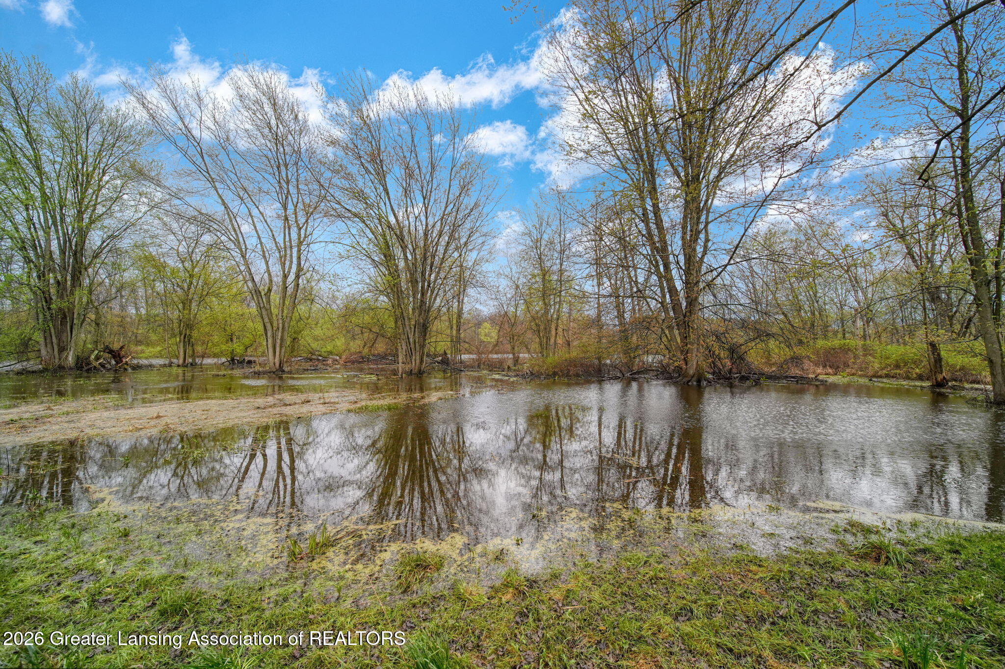 8379 Hall Road Bellevue, MI 49021 - Photo 43 of 68 43-web-or-mls-DSC08842_HDR 2