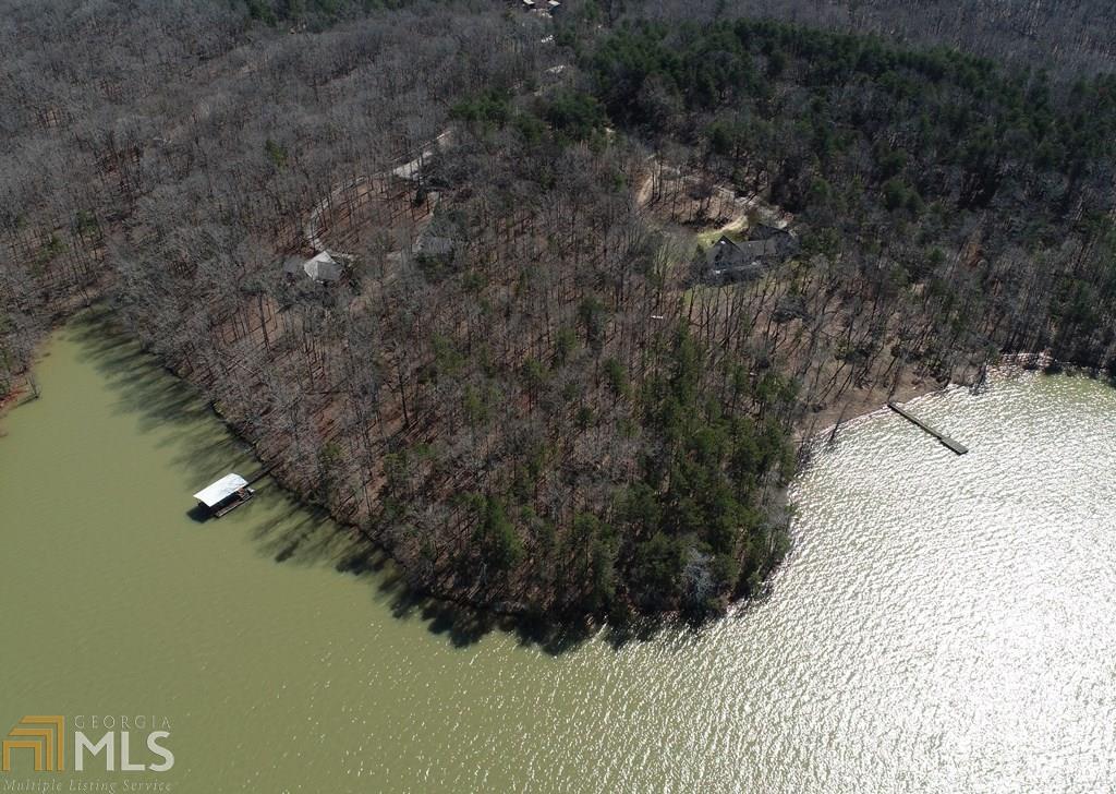 0 Tbd0 Chandlers Ferrry Road Hartwell, GA 30643 - Photo 1 of 1 Gallery Image 1