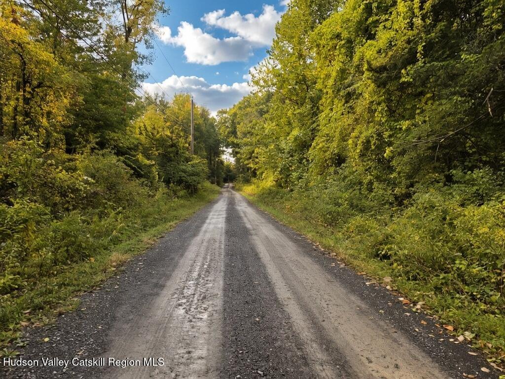 0 Spring Road Hudson, NY 12534 - Photo 6 of 6 3