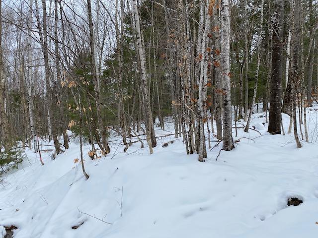 0 Mountain Road Linneus, ME 04730 - Photo 6 of 7 IMG_2414