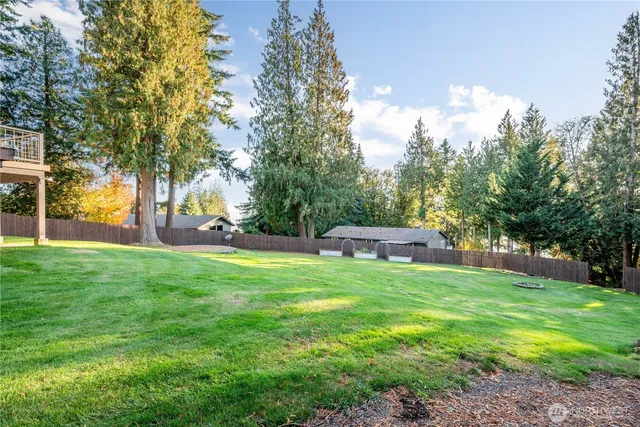 a view of yard with green space and trees around