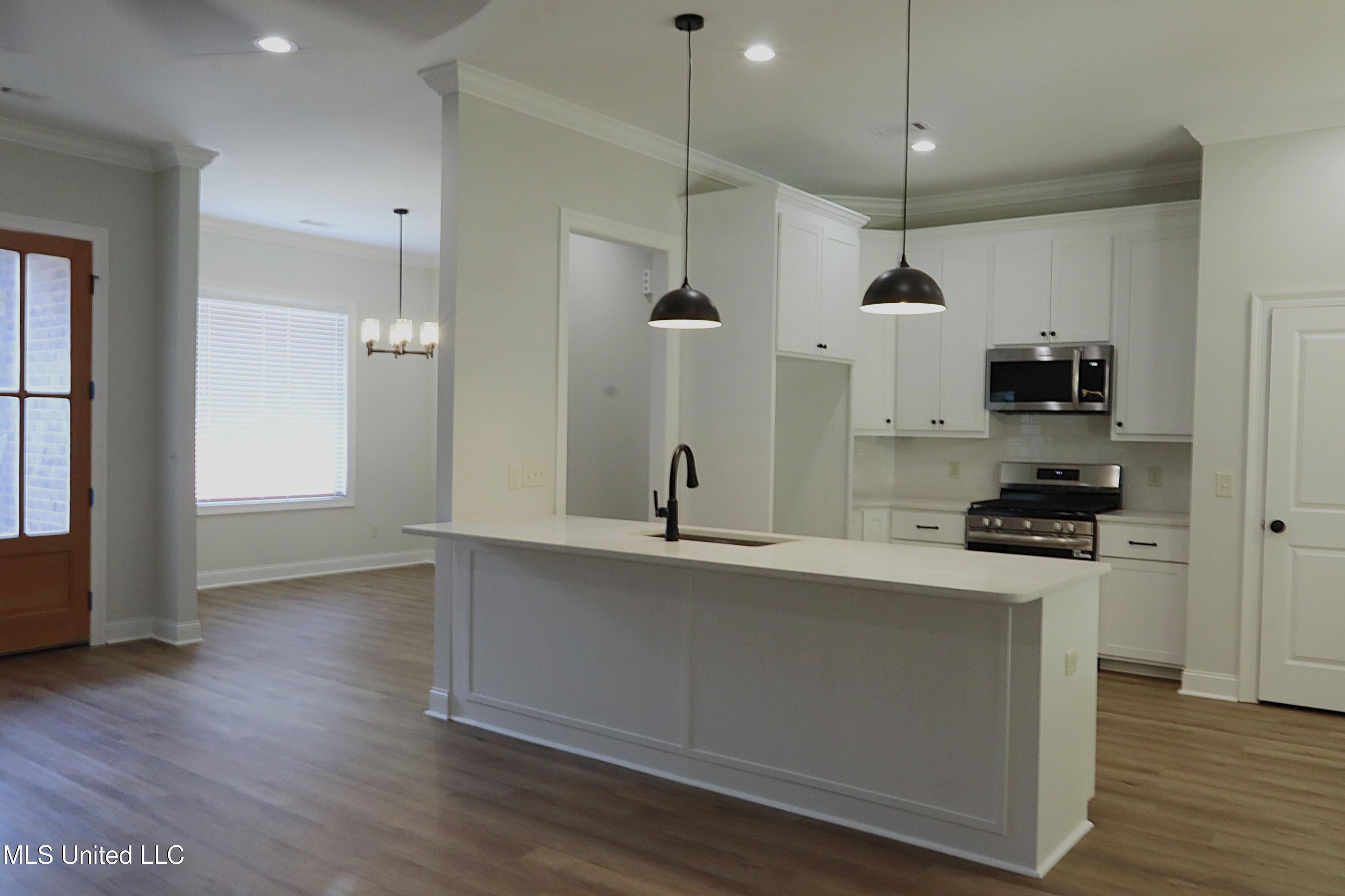 572 Turtle Lane Brandon, MS 39047 - Photo 5 of 42 _MG_3417 - Copy