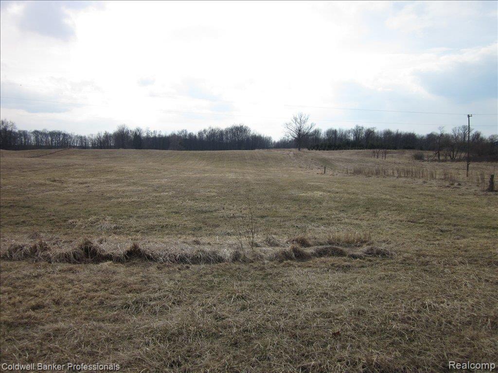 2859 Hayes Road Chelsea, MI 48118 - Photo 3 of 9 IMG_0066