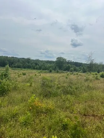 a view of a lake with houses in the back