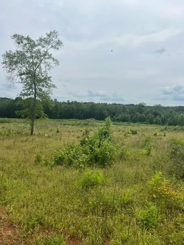 a view of a lake with houses in the back