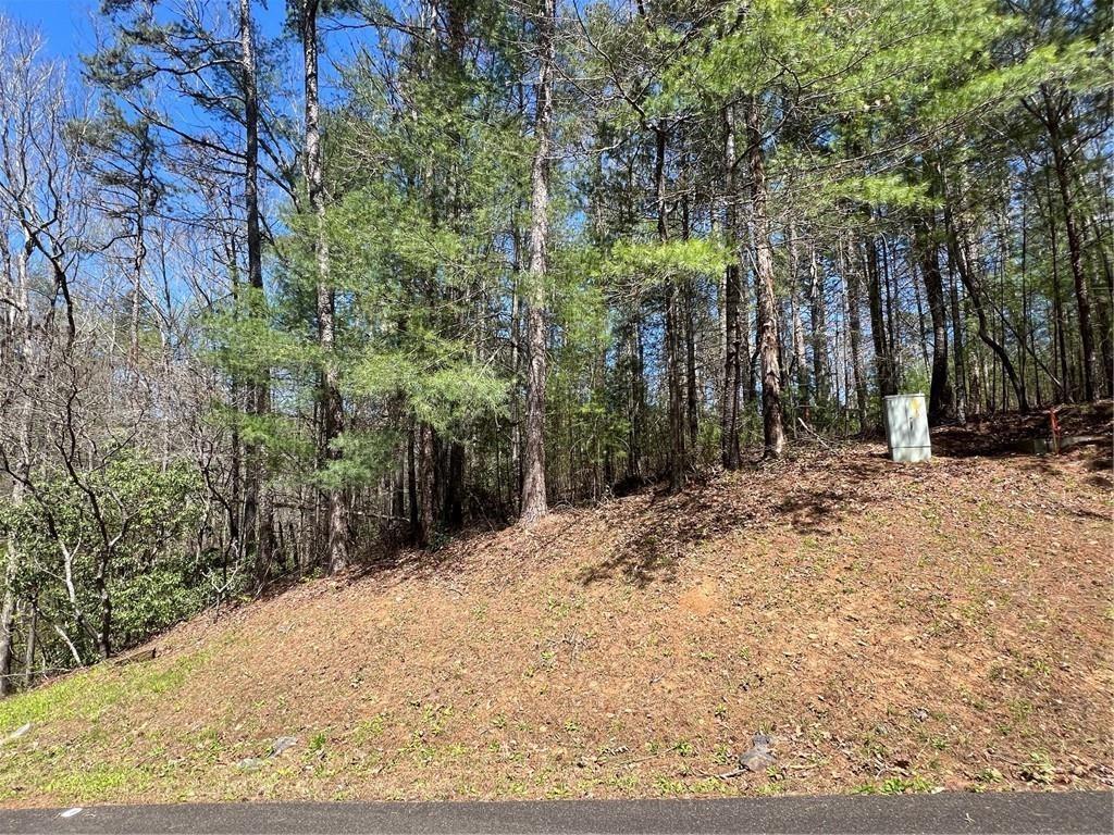 0 Trout Line Court Talking Rock, GA 30175 - Photo 6 of 50 a view of a backyard of the house