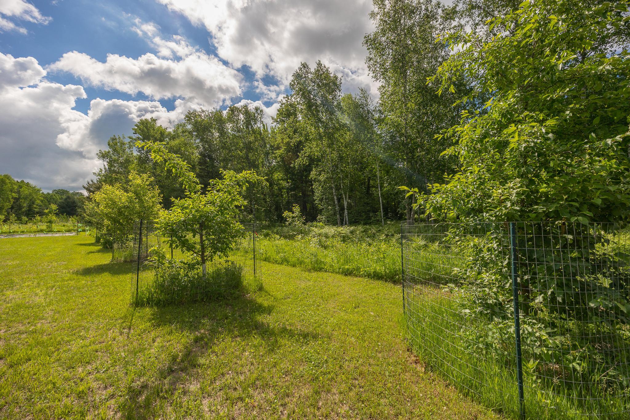2251 Fahrenholz Road Northeast Longville, MN 56655 - Photo 57 of 62