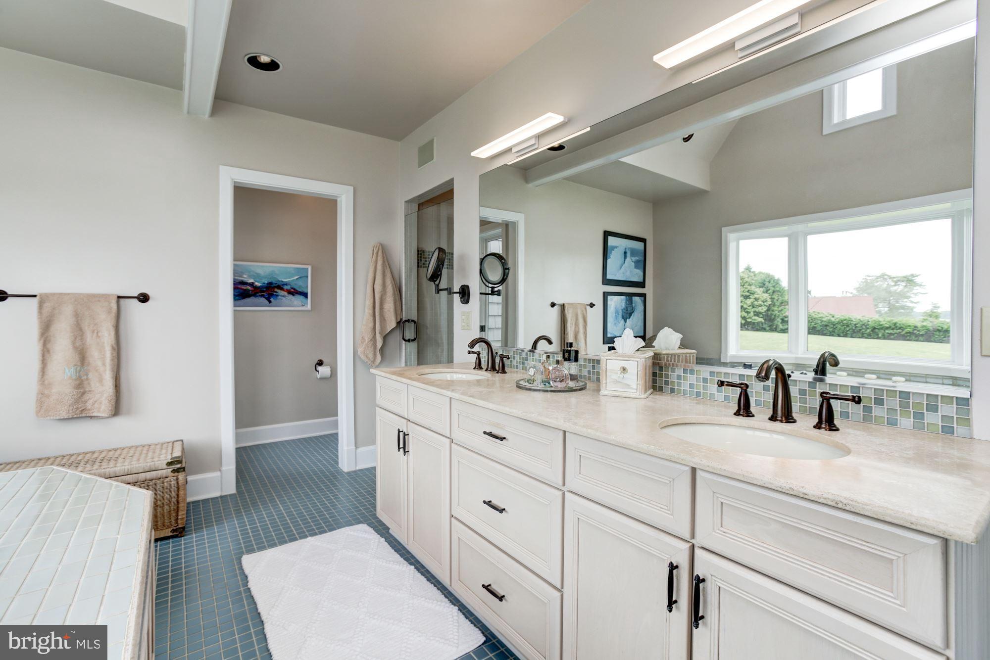 302 Rugby Cove Arnold, MD 21012 - Photo 36 of 61 Master bathroom w/ walk-in closet & double vanity