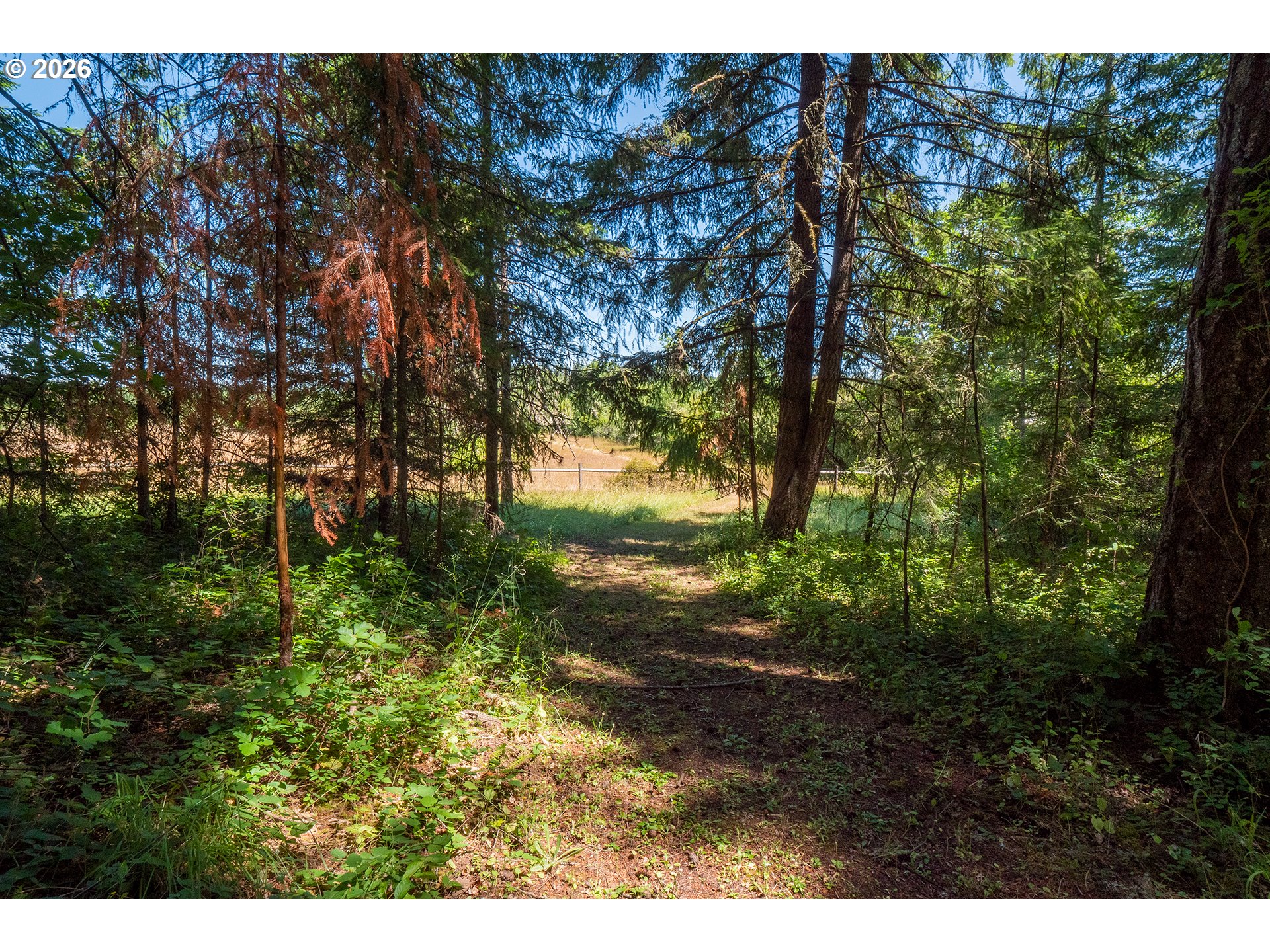 28285 Spencer Creek Road Eugene, OR 97405 - Photo 14 of 30