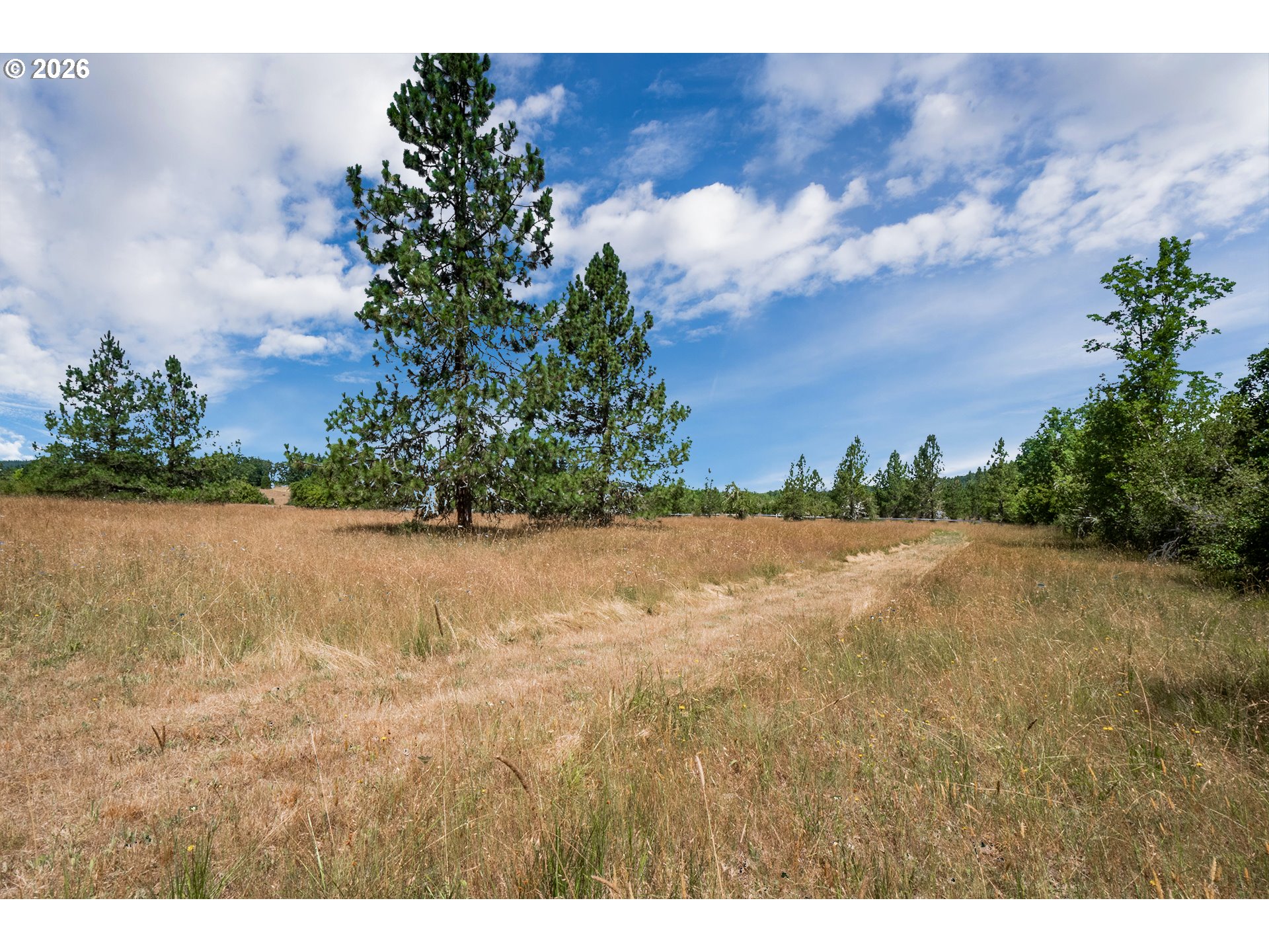 28285 Spencer Creek Road Eugene, OR 97405 - Photo 18 of 30