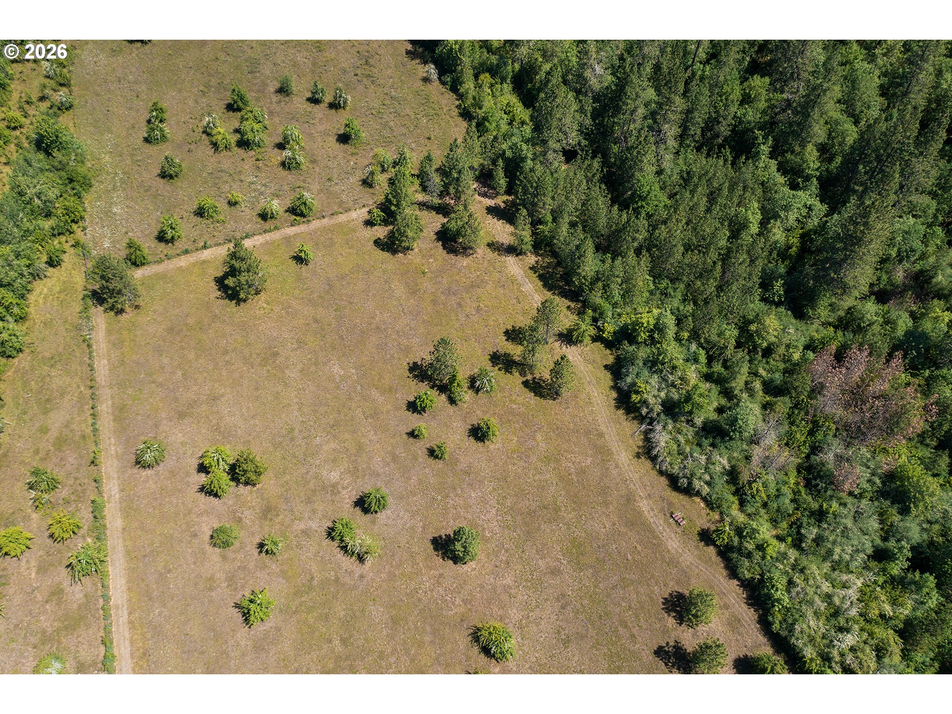 28285 Spencer Creek Road Eugene, OR 97405 - Photo 24 of 30