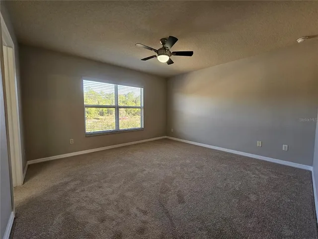 $2,000 | 2954 Willowleaf Lane, Wesley Chapel, FL 33544