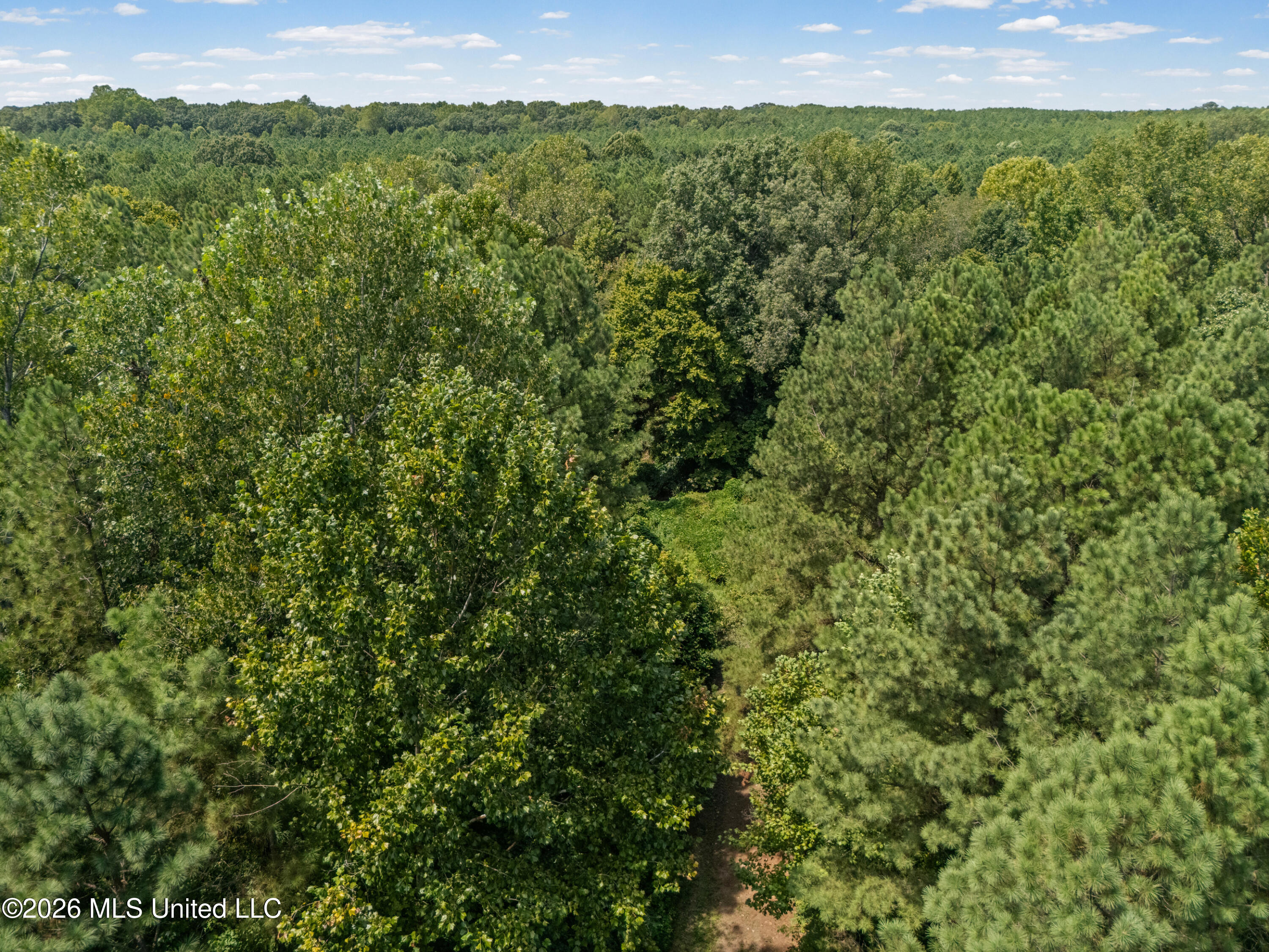 Brownlee Road Sarah, MS 38665 - Photo 17 of 20 19_dji_20260824125758_0141_d_print