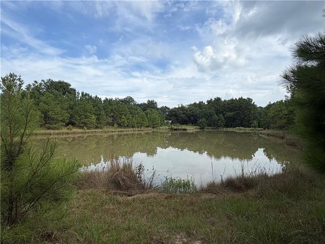 598 Pawnee Road Oakdale, LA 71463 - Photo 30 of 31 Gallery Image 30