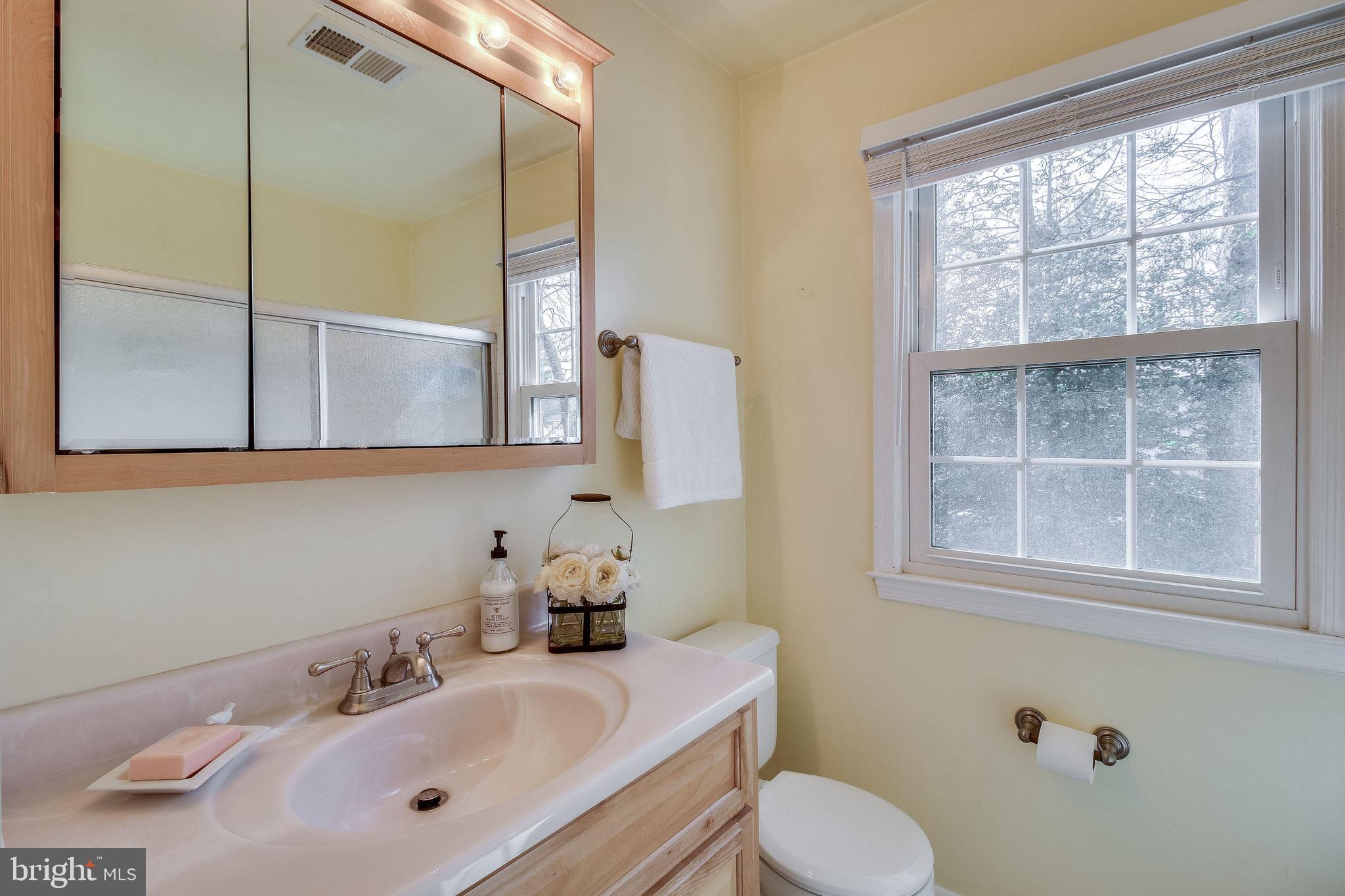 9303 Winbourne Road Burke, VA 22015 - Photo 50 of 80 Upper hall bath
