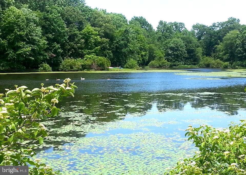 9303 Winbourne Road Burke, VA 22015 - Photo 75 of 80 Walk, fish, kayak and play at Lake Braddock!