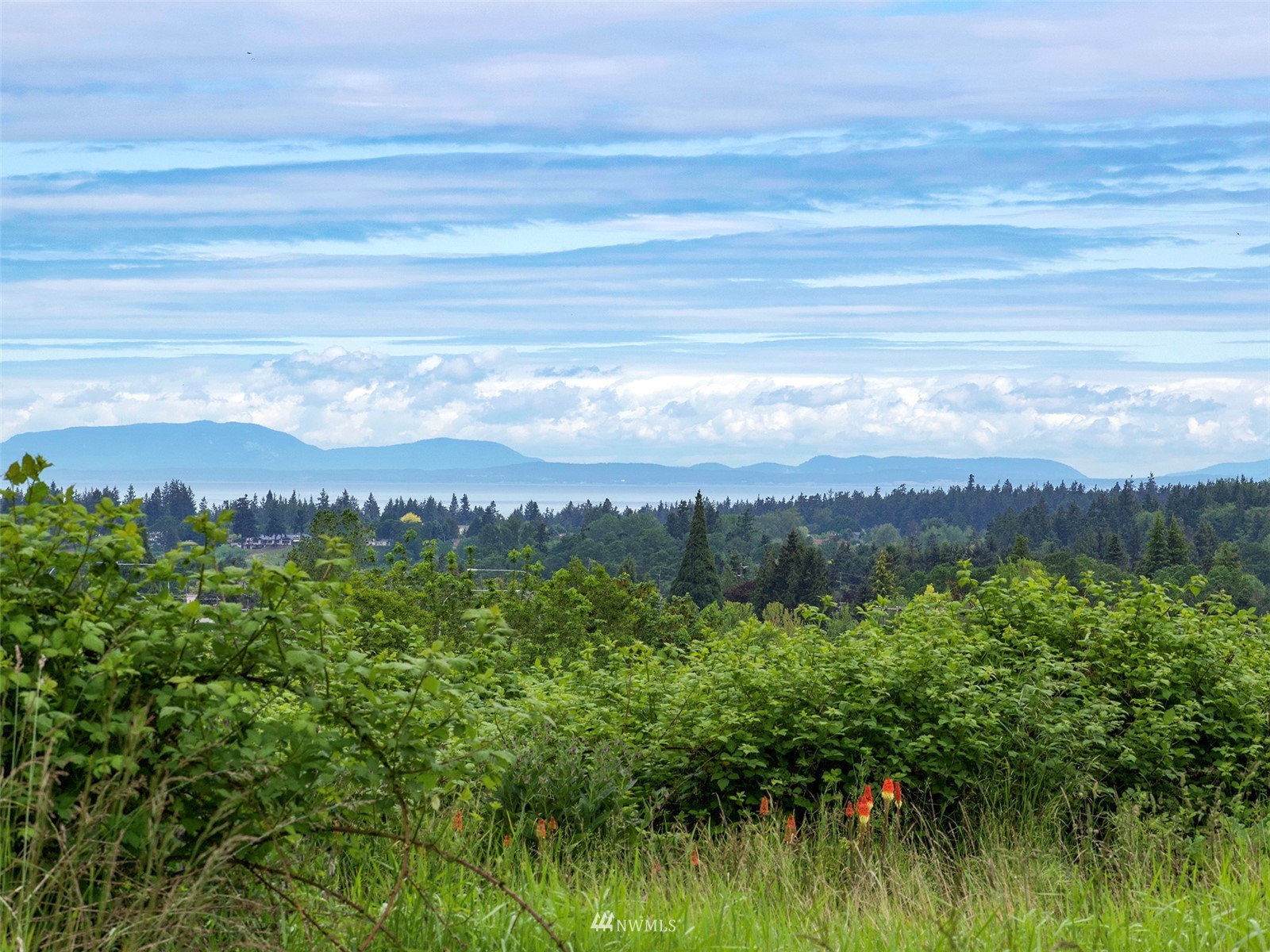 999 Provence View Lane Sequim, WA 98382 - Photo 4 of 20 Gallery Image 4