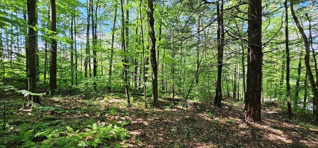 0 Ellison Road Lockwood, NY 14859 - Photo 1 of 1 Gallery Image 1