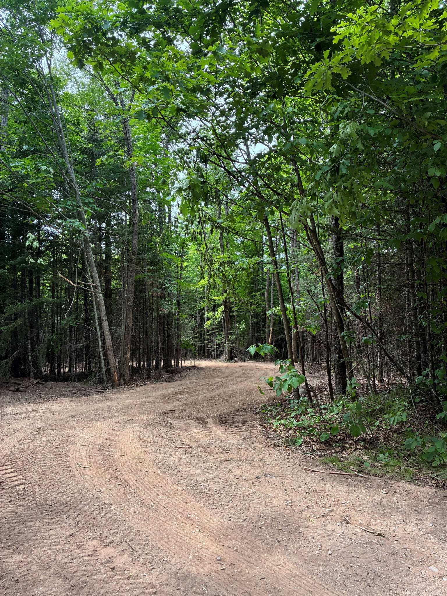 Lot 5 Uncle Toms Road Winter, WI 54896 - Photo 2 of 9