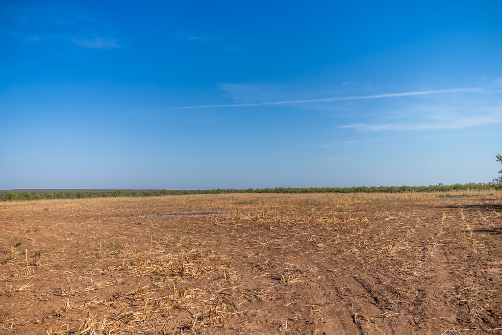 2280 County Road 4606 Paint Rock, TX 76866 - Photo 18 of 55 a view of an ocean