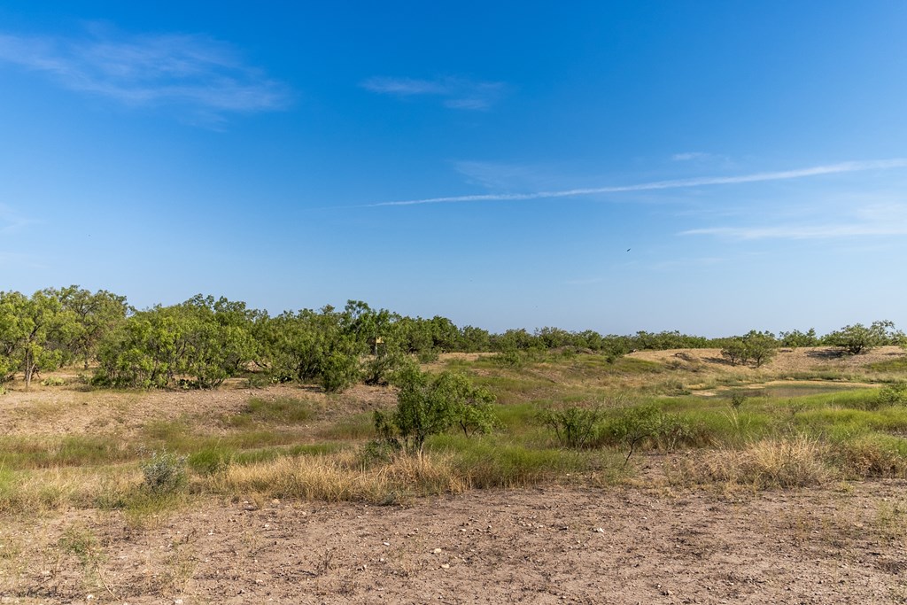 2280 County Road 4606 Paint Rock, TX 76866 - Photo 21 of 55 a view of lake view and mountain