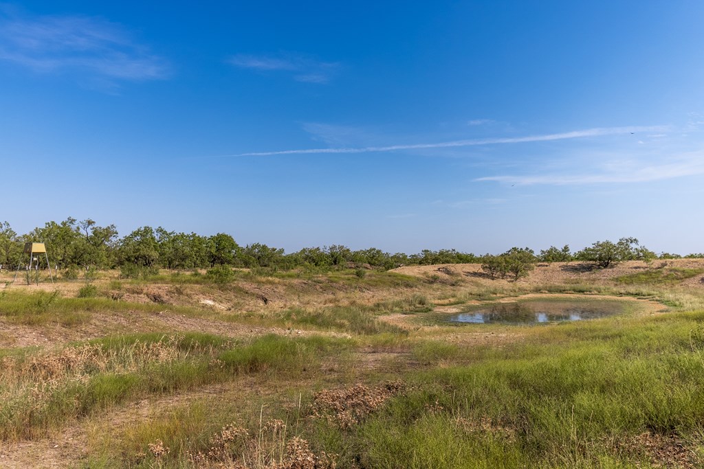 2280 County Road 4606 Paint Rock, TX 76866 - Photo 22 of 55 a view of lake and mountain