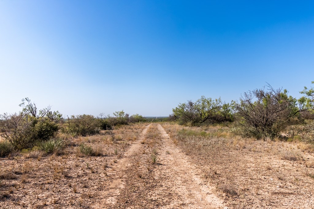 2280 County Road 4606 Paint Rock, TX 76866 - Photo 24 of 55 a view of mountain view with beach