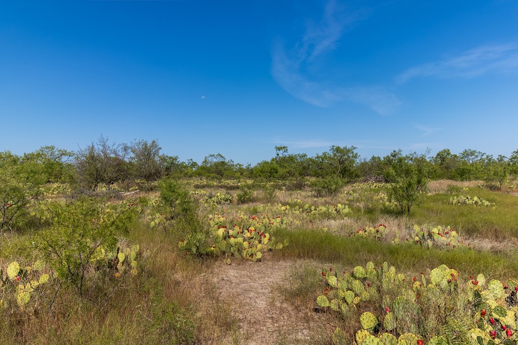 2280 County Road 4606 Paint Rock, TX 76866 - Photo 29 of 55 a view of lake with green space