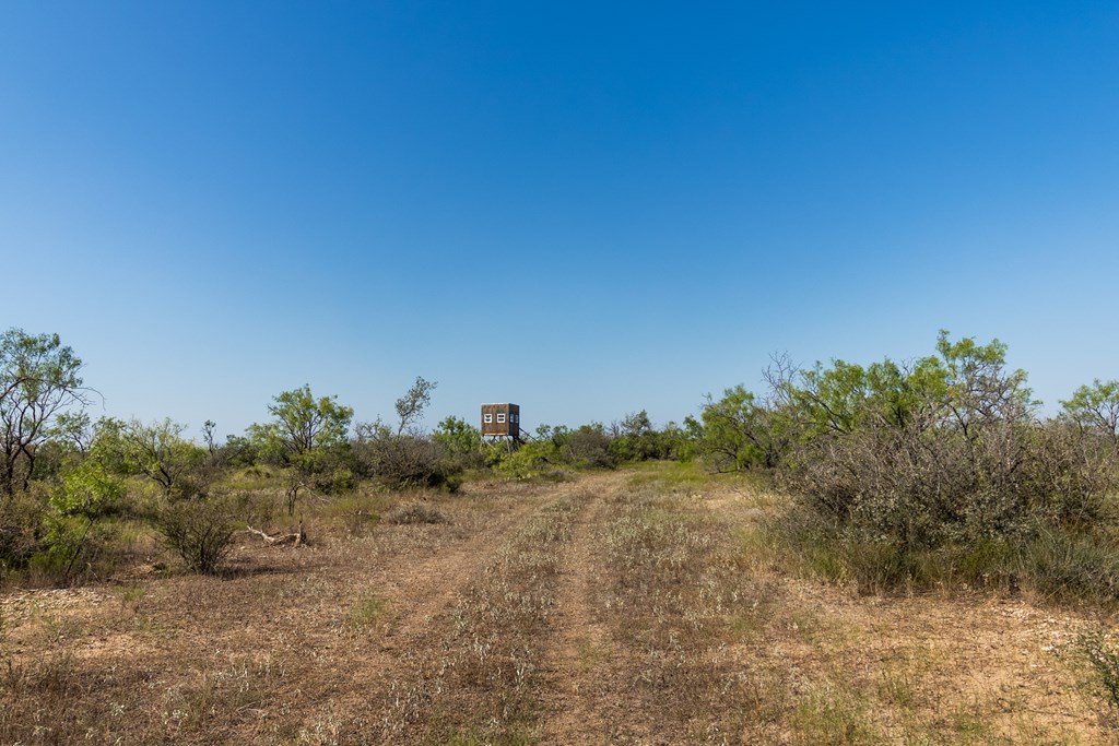 2280 County Road 4606 Paint Rock, TX 76866 - Photo 30 of 55 a view of a field with trees in background