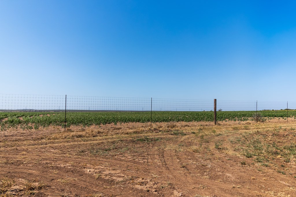 2280 County Road 4606 Paint Rock, TX 76866 - Photo 35 of 55 a view of a lake view