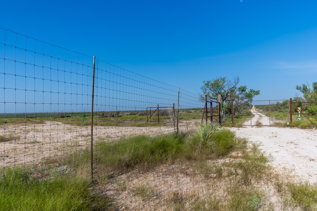 2280 County Road 4606 Paint Rock, TX 76866 - Photo 7 of 55