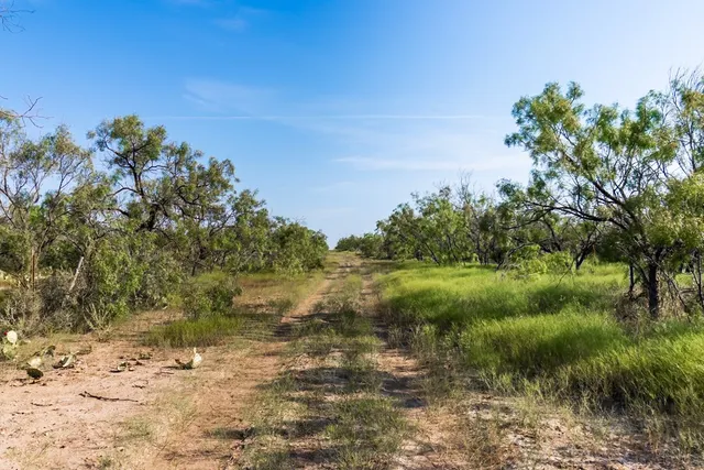 a view of a field with an ocean