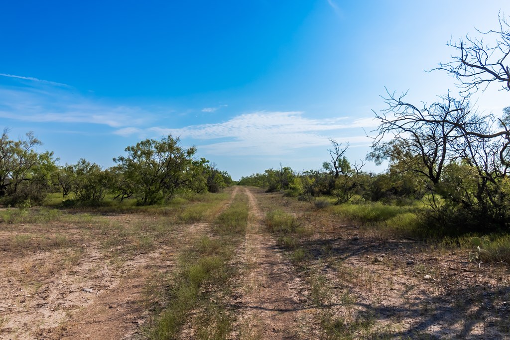 2280 County Road 4606 Paint Rock, TX 76866 - Photo 9 of 55 a view of a field with an ocean