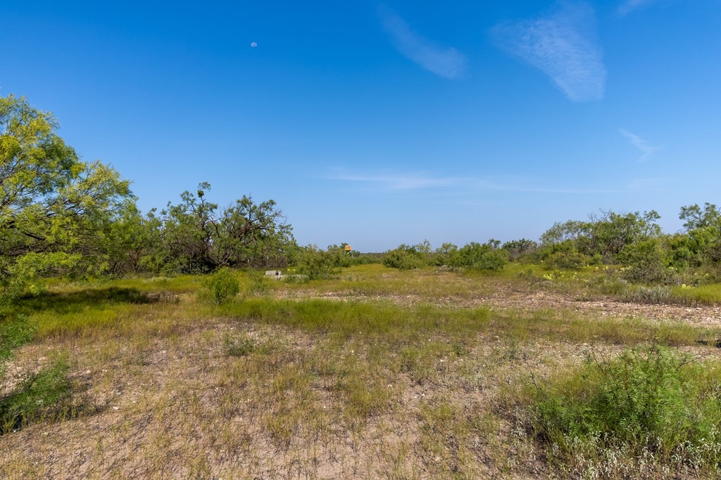 2280 County Road 4606 Paint Rock, TX 76866 - Photo 10 of 55 a view of an ocean and beach