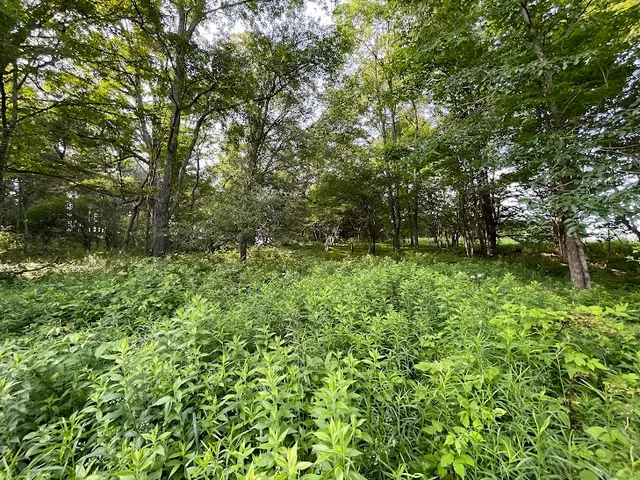 $299,500 | 22869 State Highway, Harpersfield, NY 13786