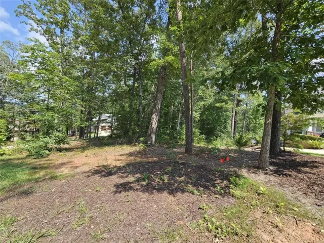 a view of a forest with trees in the background