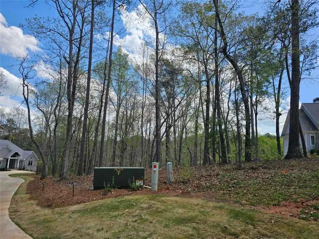 a view of a backyard