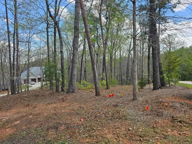 a backyard of a house with lots of green space